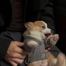 Bianca Mercado avatar